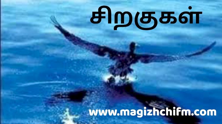 சிறகுகள்...