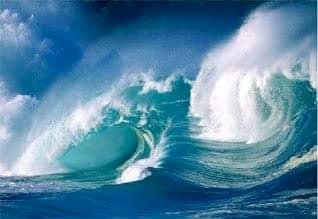 பறவை...வானம்... கவிதை...