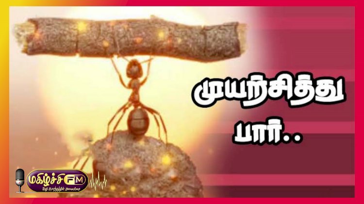 முயற்சியும் முழு பலனும்...001
