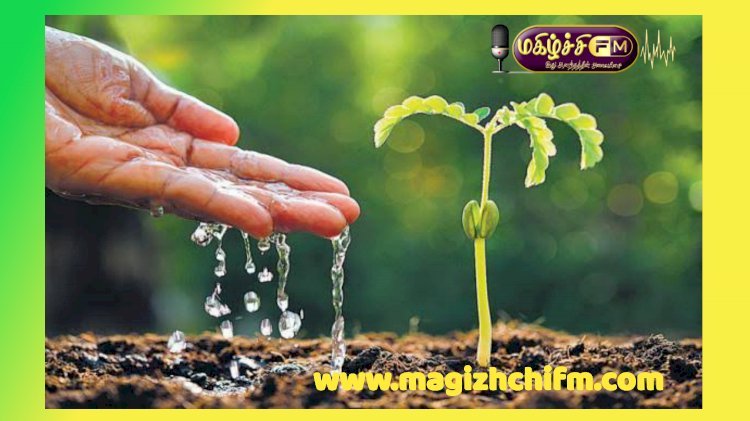 விதை...!