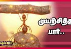 முயற்சியும் முழு பலனும்...001