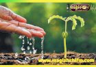 விதை...!