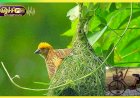 கருணை..! 010