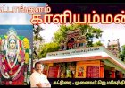 சிவகிரி தேவிபட்டணம் தட்டாங்குளம் காளியம்மன் கோவில் வரலாறு