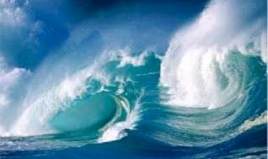 பறவை...வானம்... கவிதை...